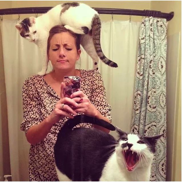 Selfie Olayından Hoşlanmadığını Surat İfadelerinden Anlayacağınız 17 Kedi - 3