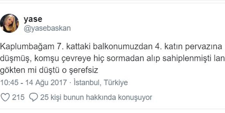 Evcil Hayvanlarıyla Yaşadıkları Eğlenceli Anları Ölümsüzleştiren 15 Twitter Kullanıcısı - 2